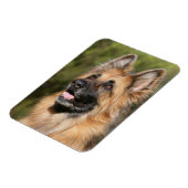Long Hazard German Shepherd 1 Magneet (Linkerzijde)
