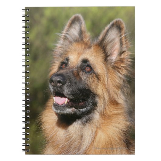 Long Hazard German Shepherd 1 Notitieboek (Voorkant)