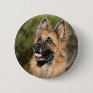 Long Hazard German Shepherd 1 Ronde Button 5,7 Cm