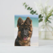 Long Hazard German Shepherd Beach Briefkaart (Staand voorkant)