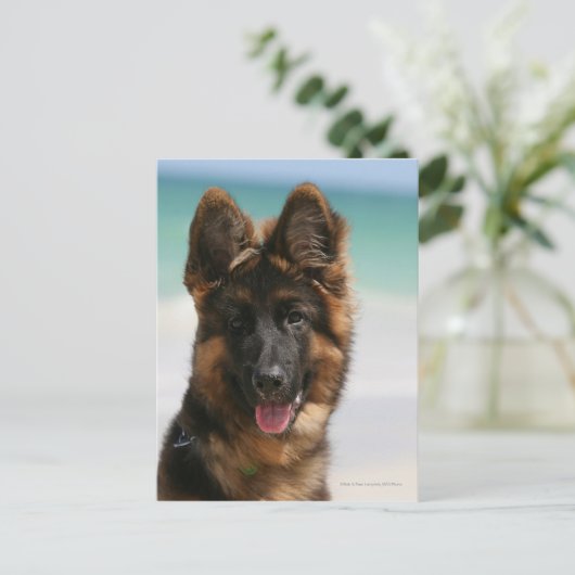 Long Hazard German Shepherd Beach Briefkaart (Staand voorkant)