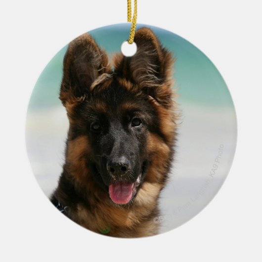 Long Hazard German Shepherd Beach Keramisch Ornament (Voorkant)