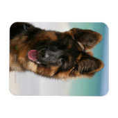 Long Hazard German Shepherd Beach Magneet (Horizontaal)