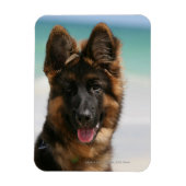 Long Hazard German Shepherd Beach Magneet (Verticaal)