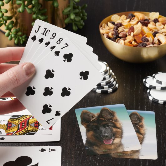Long Hazard German Shepherd Beach Pokerkaarten (Insitu)
