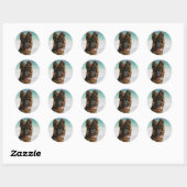 Long Hazard German Shepherd Beach Ronde Sticker (Vel)
