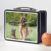 Long Hazard German Shepherd Dog and Puppy (In situ)