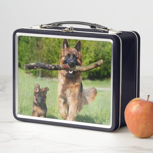 Long Hazard German Shepherd Dog and Puppy (In situ)