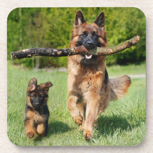 Long Hazard German Shepherd Dog and Puppy Bier Onderzetter (Voorkant)