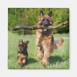 Long Hazard German Shepherd Dog and Puppy Magneet