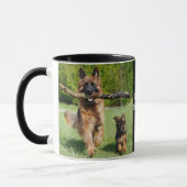 Long Hazard German Shepherd Dog and Puppy Mok (Links)