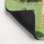 Long Hazard German Shepherd Dog and Puppy Muismat (Hoek)