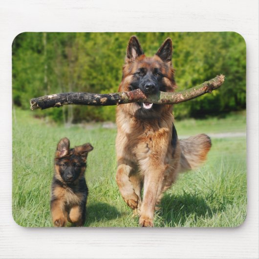 Long Hazard German Shepherd Dog and Puppy Muismat (Voorkant)