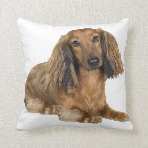 Long Hazard Gold Dachshund Pillow Kussen