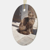 Long Hazard Persian Cat Petra Keramisch Ornament (Links)