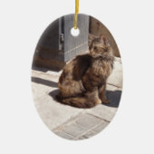 Long Hazard Persian Cat Petra Keramisch Ornament (Voorkant)