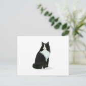 Long Hazard Tuxedo Cat Briefkaart (Staand voorkant)