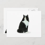 Long Hazard Tuxedo Cat Briefkaart (Voorkant / Achterkant)