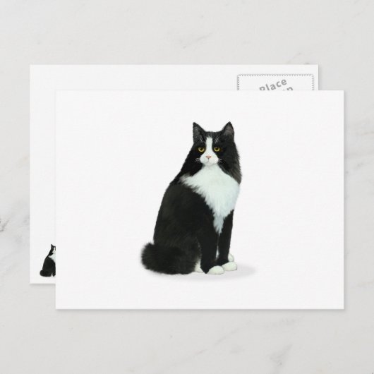 Long Hazard Tuxedo Cat Briefkaart (Voorkant / Achterkant)
