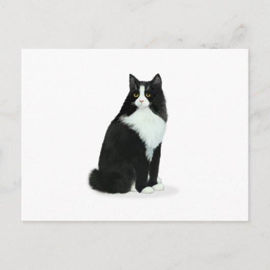 Long Hazard Tuxedo Cat Briefkaart (Voorkant)