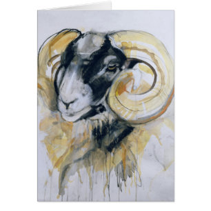 Long Horn Sheep