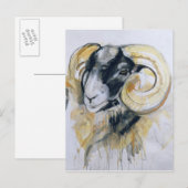 Long Horn Sheep Briefkaart (Voorkant / Achterkant)