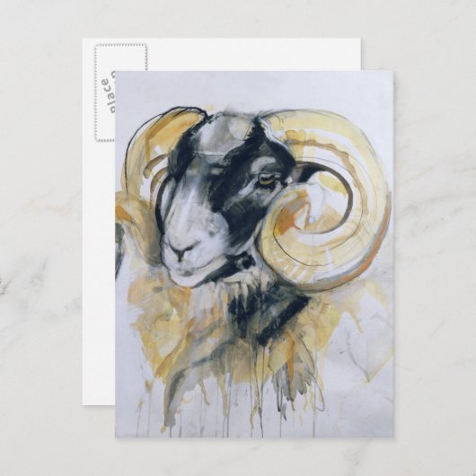 Long Horn Sheep Briefkaart (Voorkant / Achterkant)