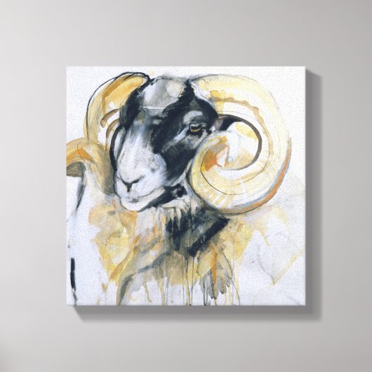 Long Horn Sheep Canvas Afdruk (Voorkant)