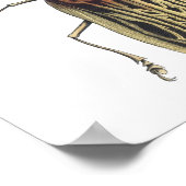 Long-Horned Beetle, Prionus Cervicornis Poster (Hoek)