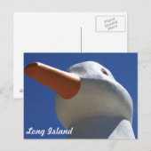 Long Island Duck 2 Briefkaart (Voorkant / Achterkant)