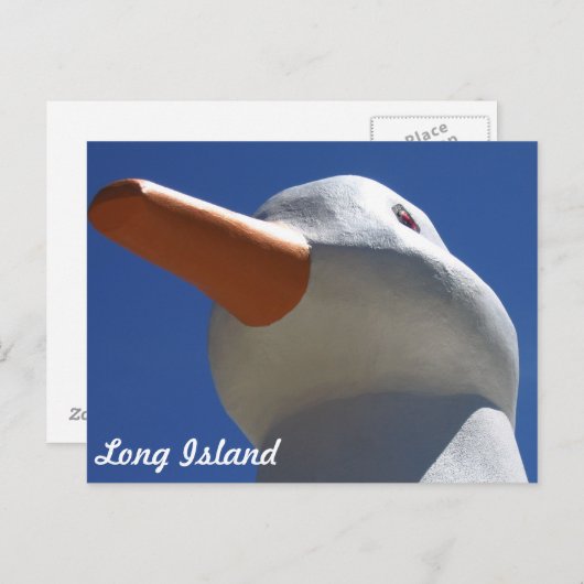 Long Island Duck 2 Briefkaart (Voorkant / Achterkant)