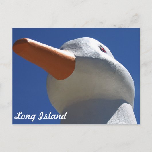 Long Island Duck 2 Briefkaart (Voorkant)