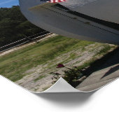 Long Island Duck Poster (Hoek)