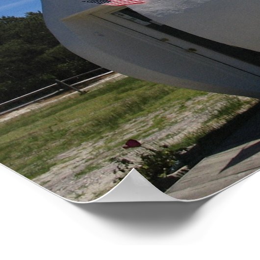 Long Island Duck Poster (Hoek)