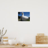 Long Island Duck Poster (Keuken)