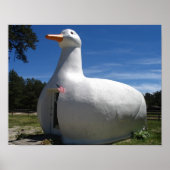 Long Island Duck Poster (Voorkant)