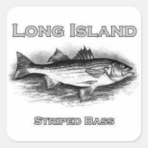 Long Island  gestreepte bas Logo Vierkante Sticker
