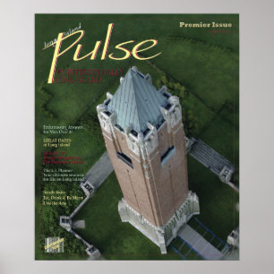 Long Island Pulse Hoesje Poster
