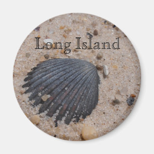Long Island Scallop shell magneet