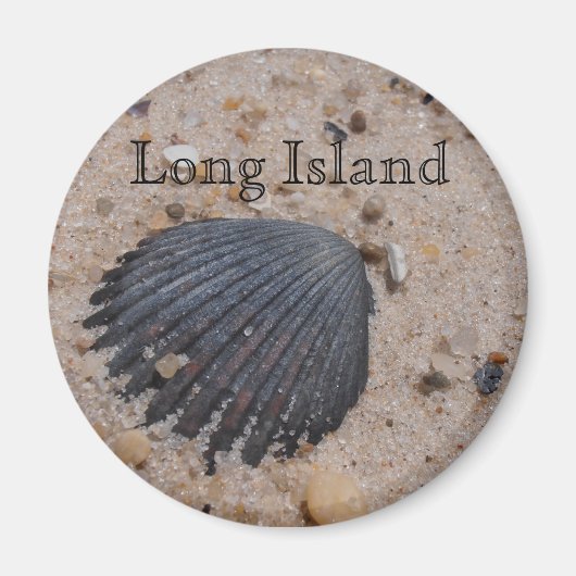 Long Island Scallop shell magneet (Voorkant)