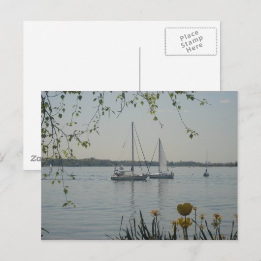 Long Island Sound Briefkaart (Voorkant / Achterkant)