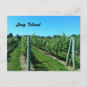 Long Island Vineyard Briefkaart (Voorkant)