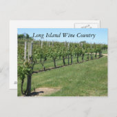 Long Island Wine Land Briefkaart (Voorkant / Achterkant)