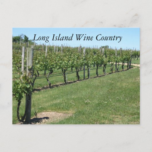 Long Island Wine Land Briefkaart (Voorkant)