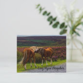 Long Mynd Wild Ponies Briefkaart (Staand voorkant)