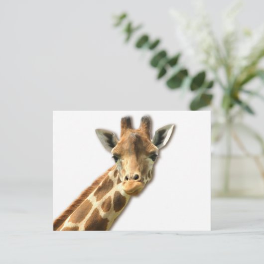 Long Necked Giraffe Briefkaart (Staand voorkant)