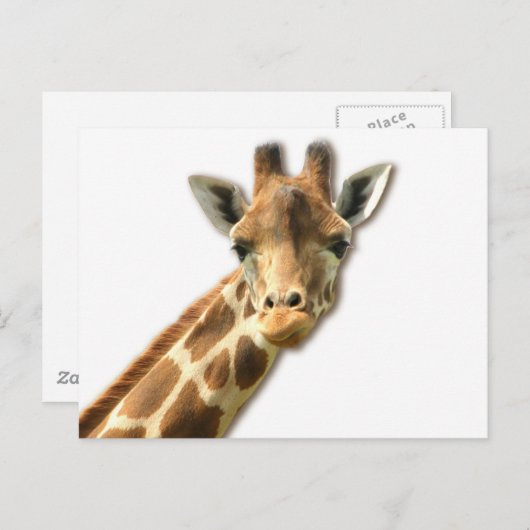 Long Necked Giraffe Briefkaart (Voorkant / Achterkant)