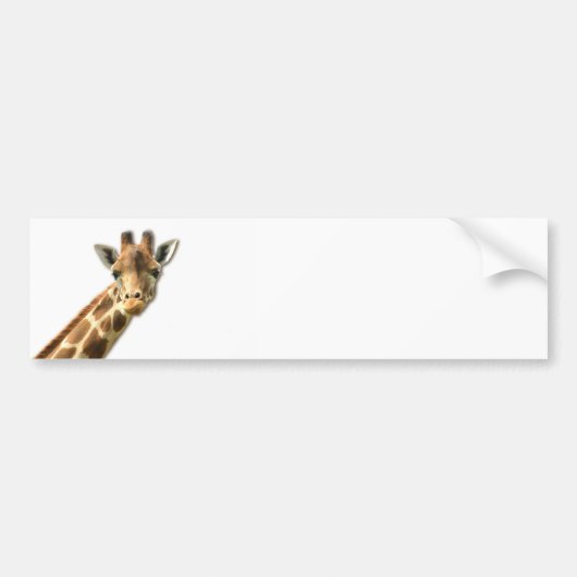 Long Necked Giraffe Bumpersticker (Voorkant)