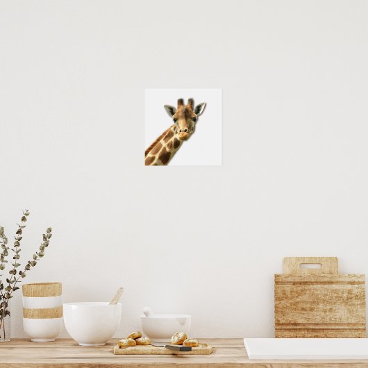 Long Necked Giraffe Poster (Keuken)