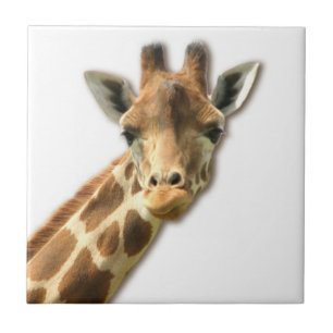 Long Necked Giraffe Tile Tegeltje